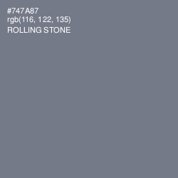 #747A87 - Rolling Stone Color Image